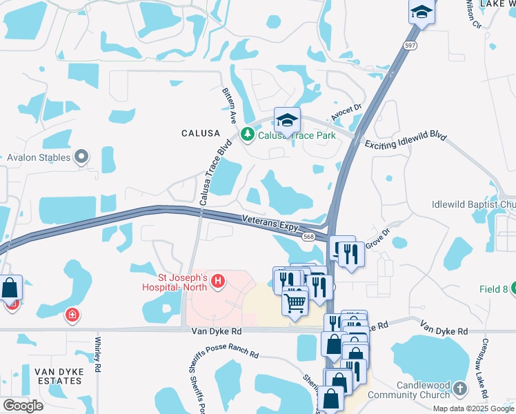 map of restaurants, bars, coffee shops, grocery stores, and more near 4201 Woodstorks Walk Way in Lutz