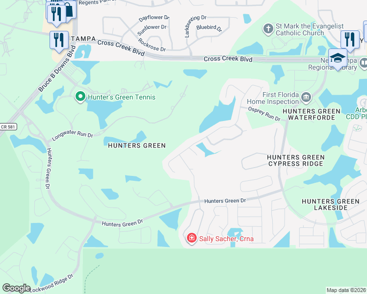 map of restaurants, bars, coffee shops, grocery stores, and more near 9128 Highland Ridge Way in Tampa