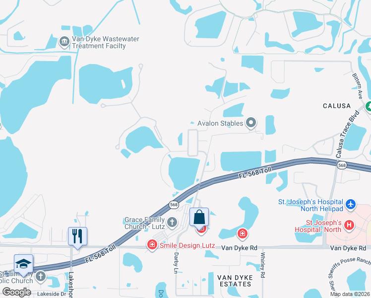 map of restaurants, bars, coffee shops, grocery stores, and more near 5107 Pheasant Woods Drive in Lutz
