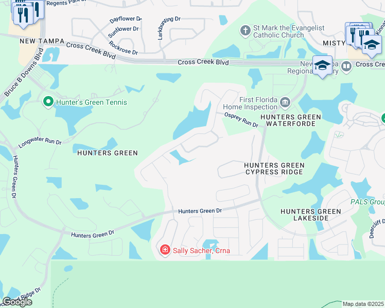 map of restaurants, bars, coffee shops, grocery stores, and more near 9109 Woodridge Run Drive in Tampa