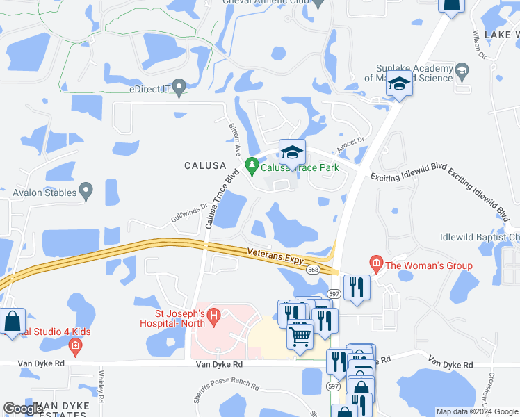 map of restaurants, bars, coffee shops, grocery stores, and more near 4J Peregrines Perch Place in Lutz