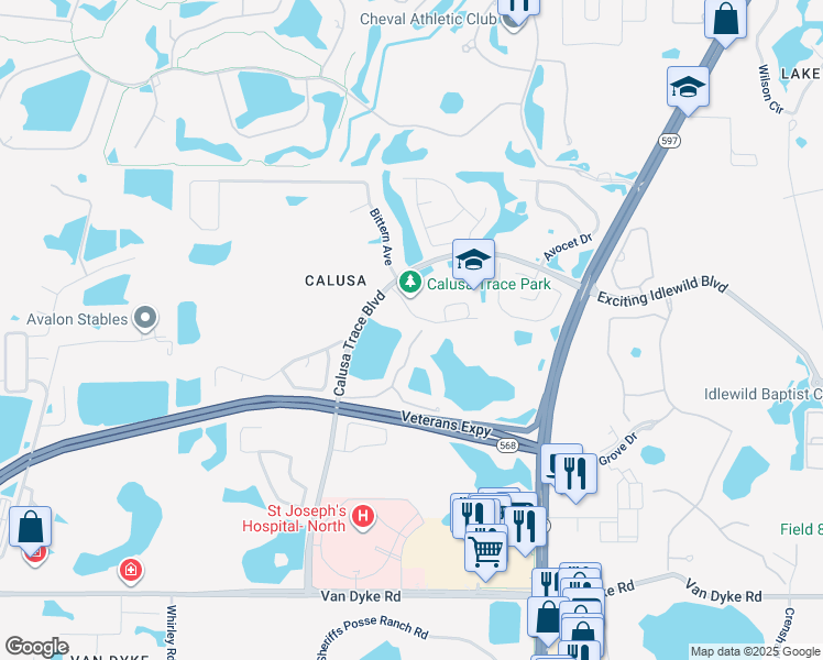 map of restaurants, bars, coffee shops, grocery stores, and more near 4201 Woodstorks Walk Way in Lutz