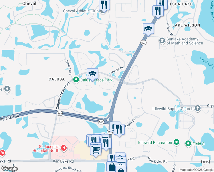 map of restaurants, bars, coffee shops, grocery stores, and more near 3910 Little Egret Court in Lutz