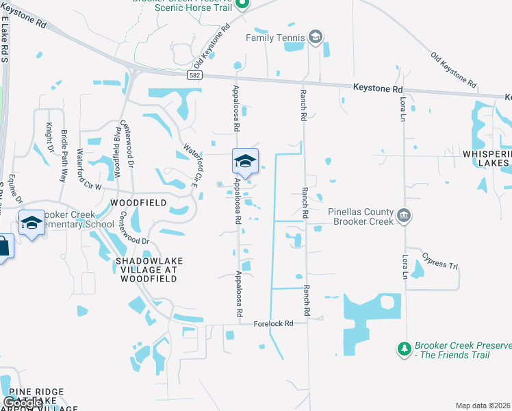 map of restaurants, bars, coffee shops, grocery stores, and more near in Tarpon Springs