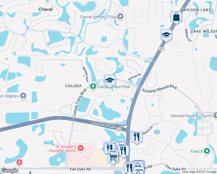 map of restaurants, bars, coffee shops, grocery stores, and more near 18333 Calusa Trace Boulevard in Lutz
