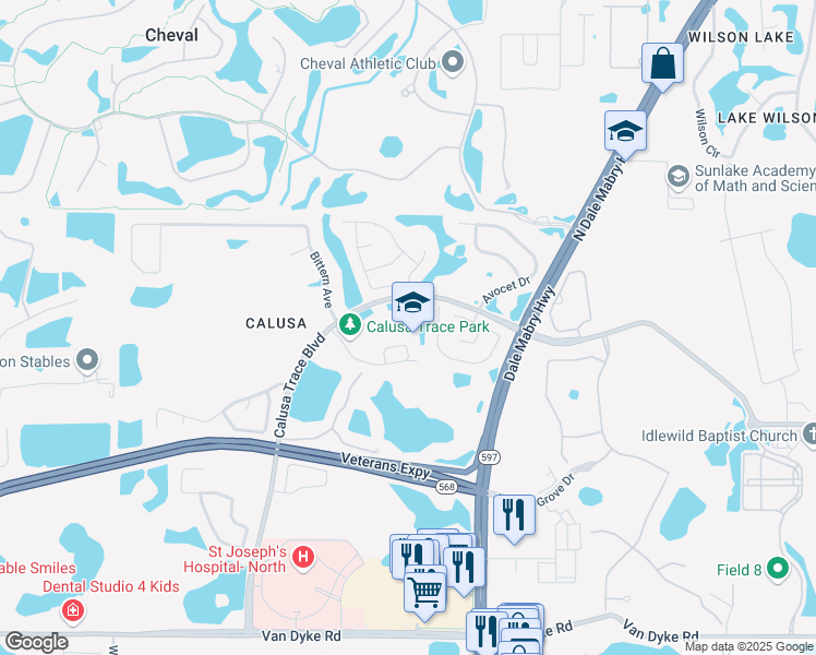 map of restaurants, bars, coffee shops, grocery stores, and more near 18333 Calusa Trace Boulevard in Lutz