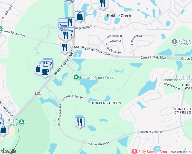 map of restaurants, bars, coffee shops, grocery stores, and more near 8801 Hunters Lake Drive in Tampa