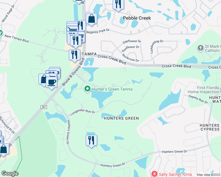 map of restaurants, bars, coffee shops, grocery stores, and more near 8801 Hunters Lake Drive in Tampa