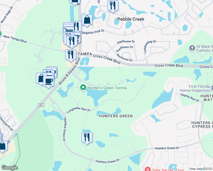 map of restaurants, bars, coffee shops, grocery stores, and more near 8801 Hunters Lake Drive in Tampa
