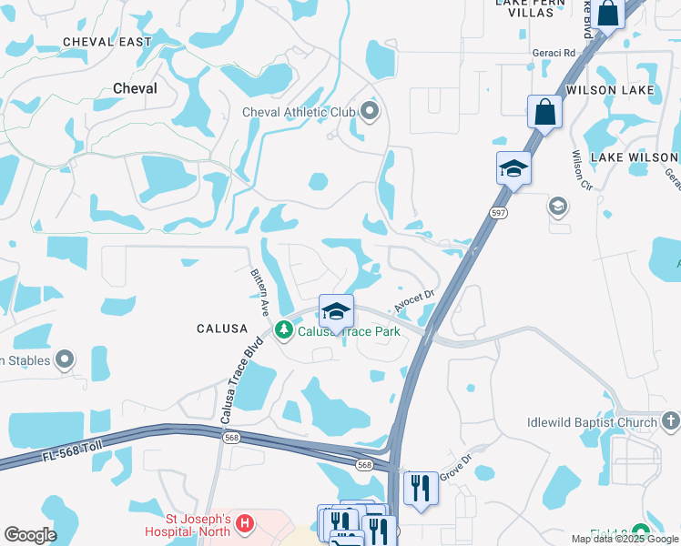 map of restaurants, bars, coffee shops, grocery stores, and more near 18412 Canary Lane in Lutz