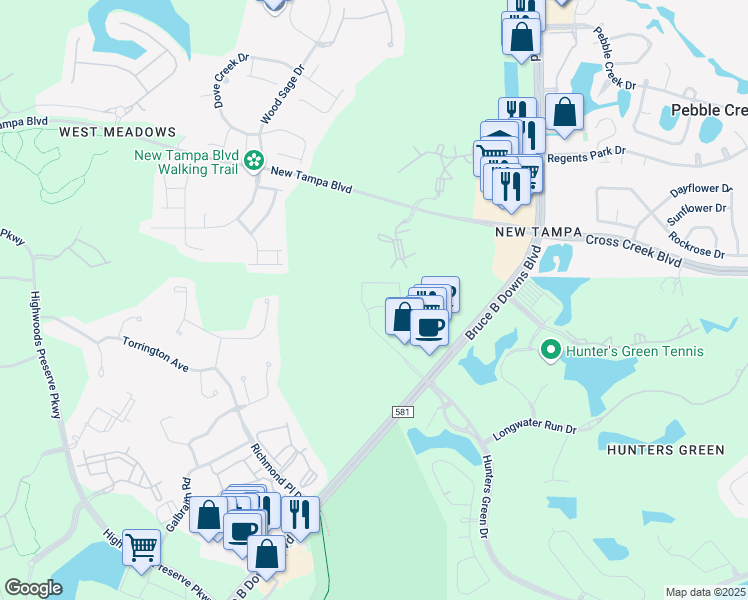 map of restaurants, bars, coffee shops, grocery stores, and more near 8500 Hunters Village Road in Tampa