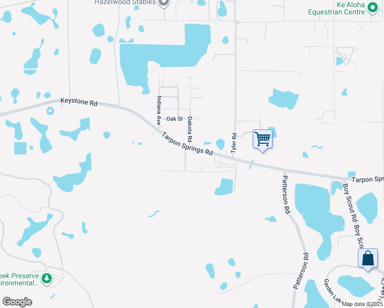 map of restaurants, bars, coffee shops, grocery stores, and more near 13024 Tarpon Springs Road in Odessa