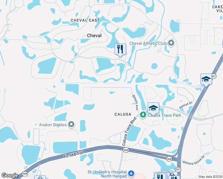 map of restaurants, bars, coffee shops, grocery stores, and more near 18408 Bittern Avenue in Lutz