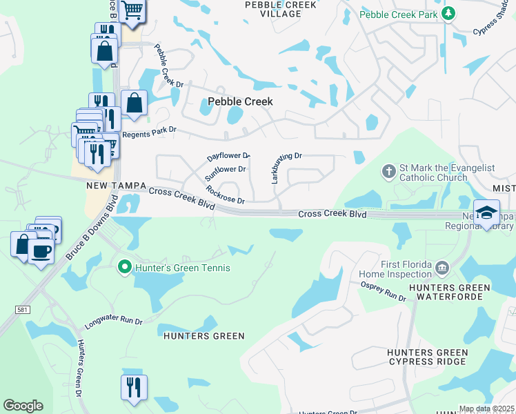 map of restaurants, bars, coffee shops, grocery stores, and more near 9311 Rockrose Drive in Tampa