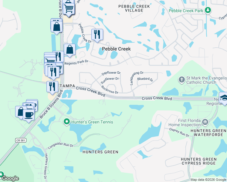map of restaurants, bars, coffee shops, grocery stores, and more near 9304 Rockrose Drive in Tampa