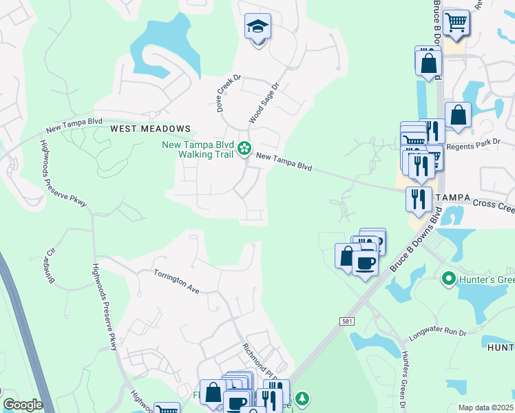 map of restaurants, bars, coffee shops, grocery stores, and more near 18904 Wintergreen Place in Tampa