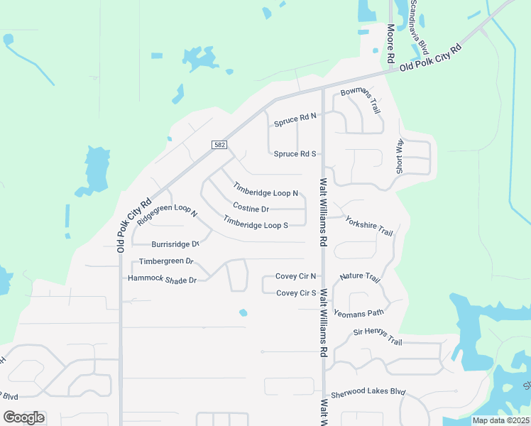 map of restaurants, bars, coffee shops, grocery stores, and more near 1315 Costine Drive in Lakeland