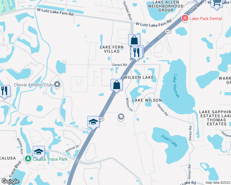 map of restaurants, bars, coffee shops, grocery stores, and more near Florida 597 in Lutz