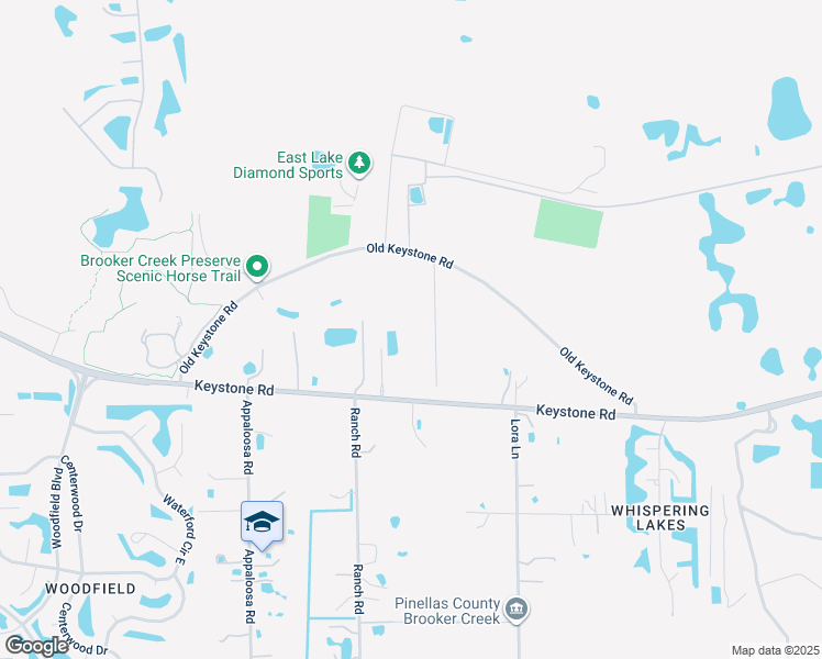 map of restaurants, bars, coffee shops, grocery stores, and more near 250 Meadows Drive in Tarpon Springs