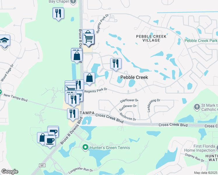 map of restaurants, bars, coffee shops, grocery stores, and more near 9102 Regents Park Drive in Tampa