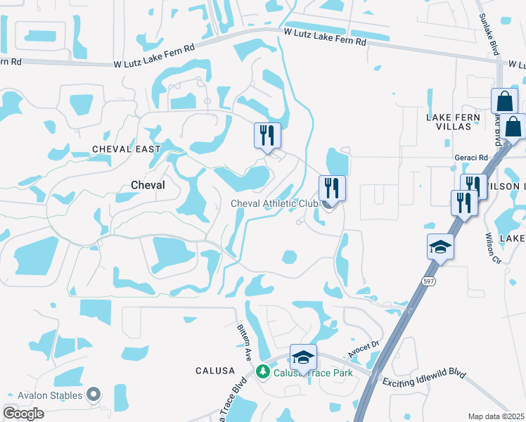 map of restaurants, bars, coffee shops, grocery stores, and more near 18801 Rue Loire in Lutz
