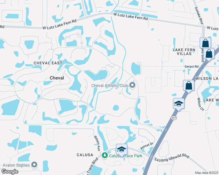 map of restaurants, bars, coffee shops, grocery stores, and more near 18801 Rue Loire in Lutz