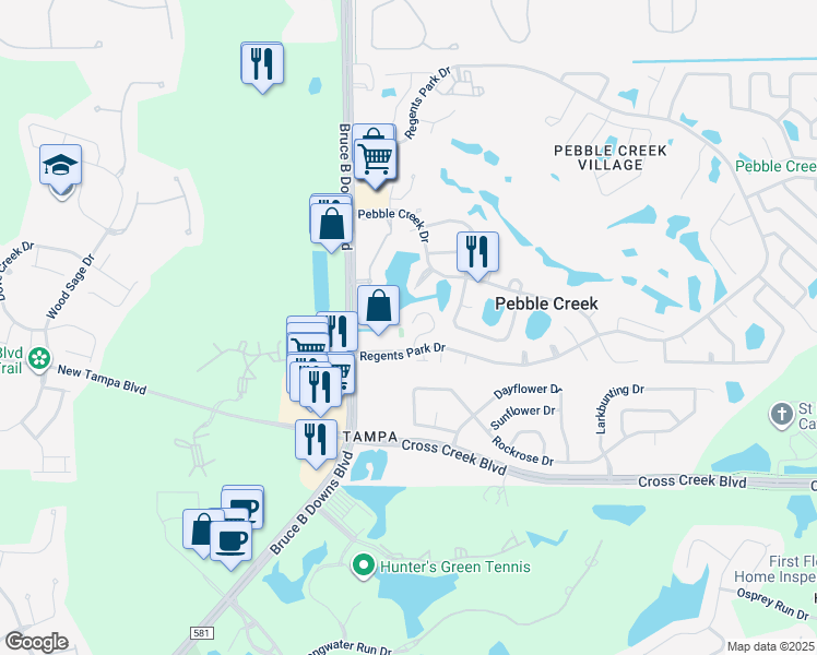 map of restaurants, bars, coffee shops, grocery stores, and more near 18420 Aintree Court in Tampa