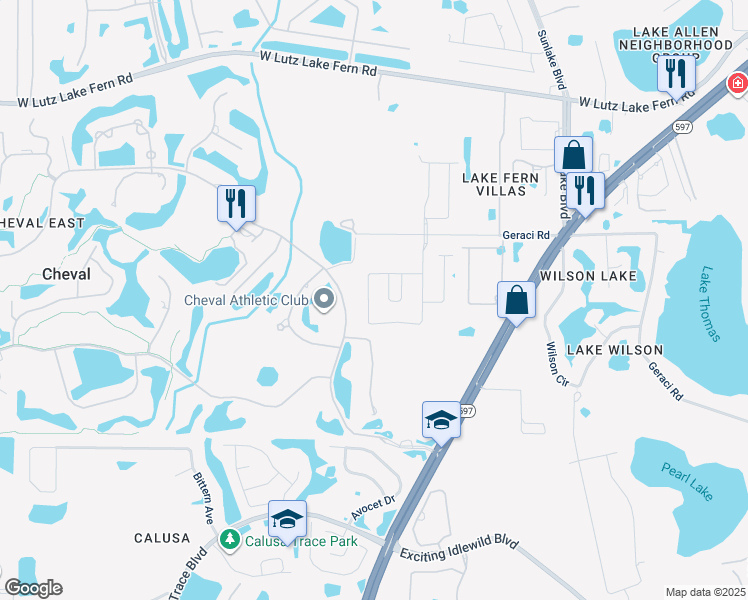 map of restaurants, bars, coffee shops, grocery stores, and more near 18738 Birchwood Groves Drive in Lutz
