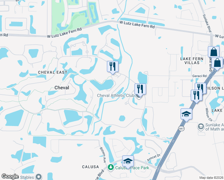 map of restaurants, bars, coffee shops, grocery stores, and more near 18810 Rue Loire in Lutz