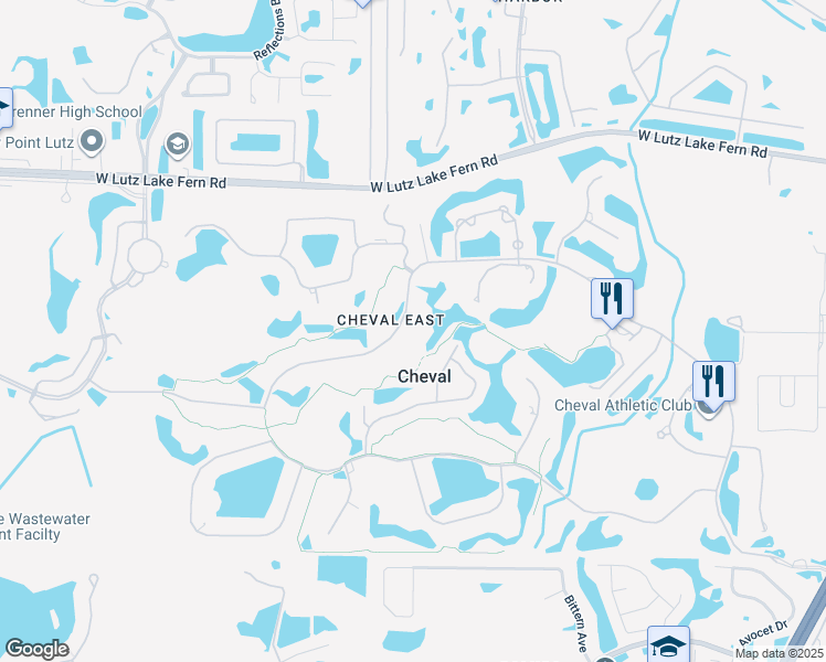 map of restaurants, bars, coffee shops, grocery stores, and more near 4516 Cheval Boulevard in Lutz