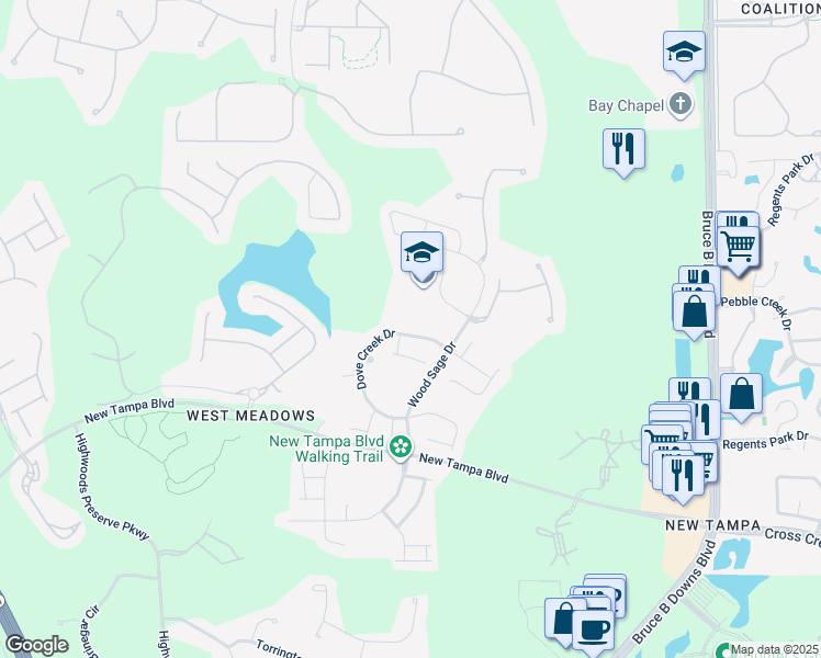 map of restaurants, bars, coffee shops, grocery stores, and more near 19158 Dove Creek Drive in Tampa