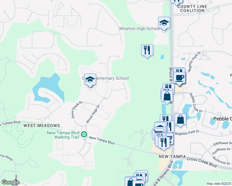 map of restaurants, bars, coffee shops, grocery stores, and more near 8605 Snowy Owl Way in Tampa