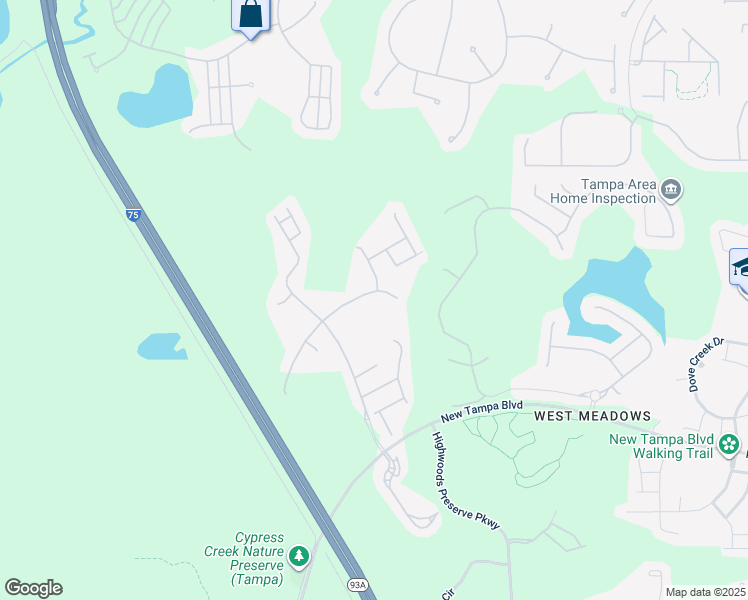 map of restaurants, bars, coffee shops, grocery stores, and more near 8263 Swann Hollow Drive in Tampa