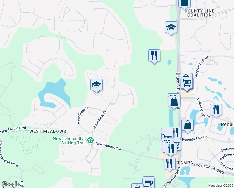 map of restaurants, bars, coffee shops, grocery stores, and more near 19122 Doves Landing Drive in Tampa