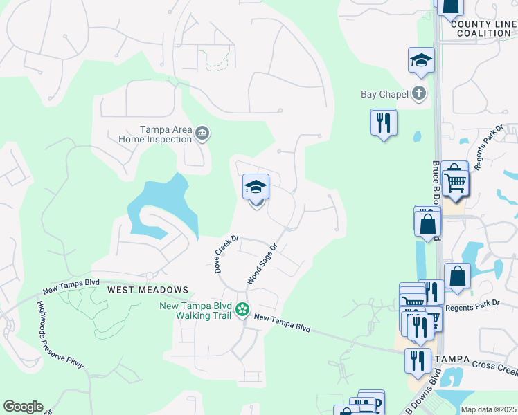 map of restaurants, bars, coffee shops, grocery stores, and more near 19002 Wood Sage Drive in Tampa