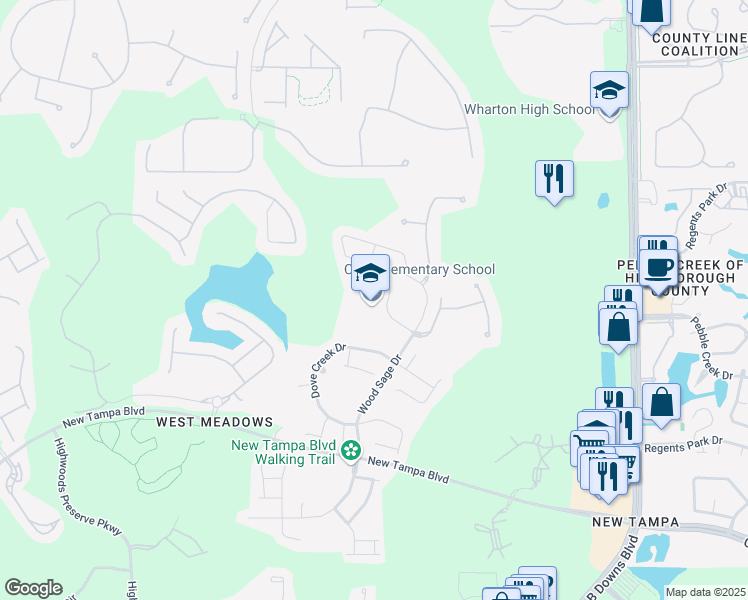 map of restaurants, bars, coffee shops, grocery stores, and more near 19002 Wood Sage Drive in Tampa