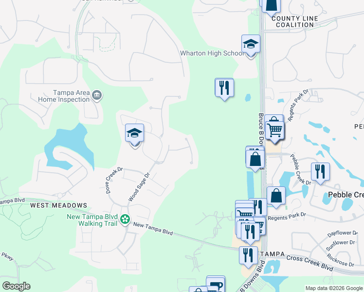 map of restaurants, bars, coffee shops, grocery stores, and more near 8618 Snowy Owl Way in Tampa