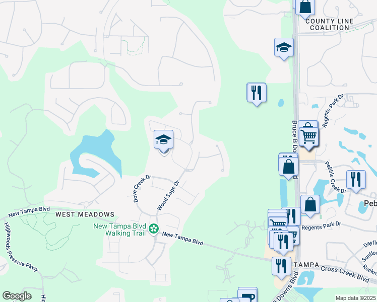 map of restaurants, bars, coffee shops, grocery stores, and more near 19122 Doves Landing Drive in Tampa
