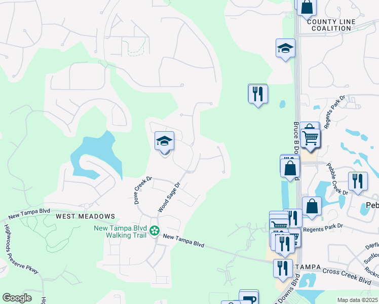 map of restaurants, bars, coffee shops, grocery stores, and more near 19122 Doves Landing Drive in Tampa