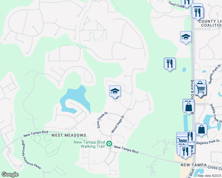 map of restaurants, bars, coffee shops, grocery stores, and more near 19206 Wood Sage Drive in Tampa