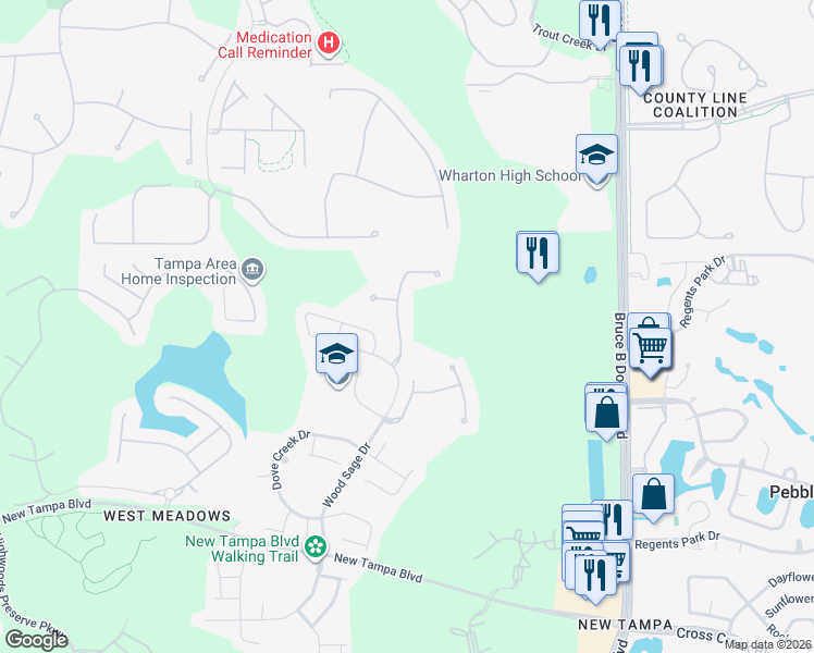 map of restaurants, bars, coffee shops, grocery stores, and more near 19129 Lake Audubon Drive in Tampa