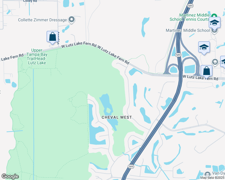 map of restaurants, bars, coffee shops, grocery stores, and more near 19016 Saint Laurent Drive in Lutz