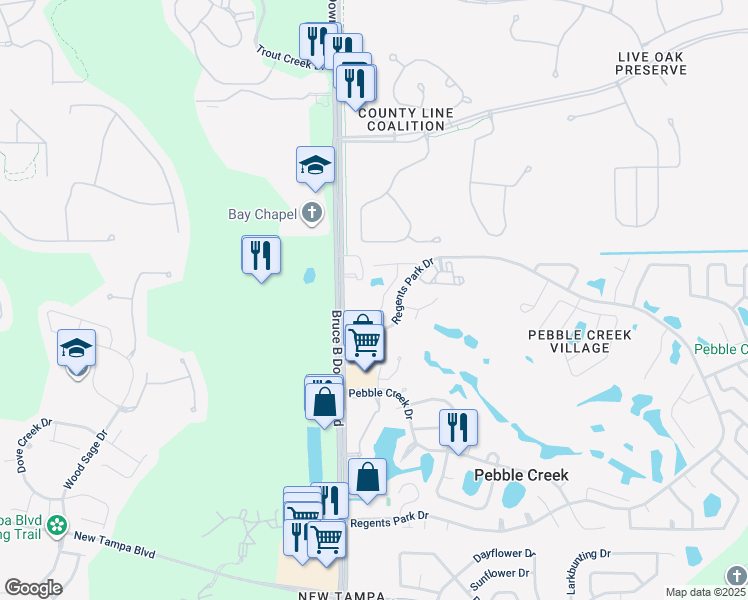 map of restaurants, bars, coffee shops, grocery stores, and more near 19014 Callaway Court in Tampa