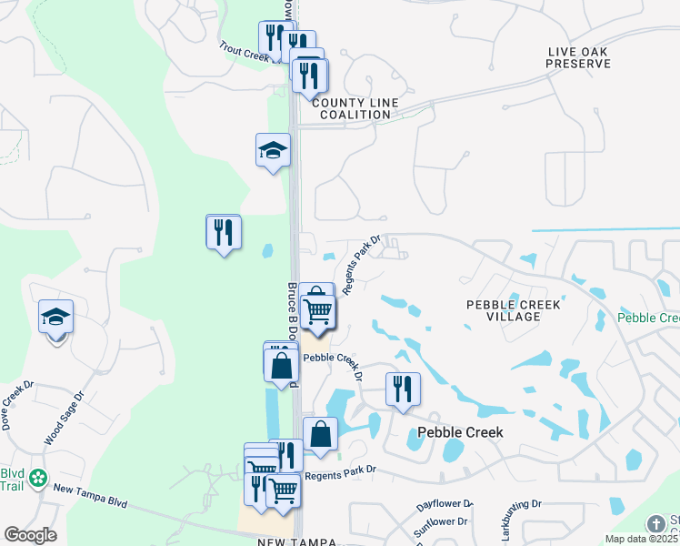 map of restaurants, bars, coffee shops, grocery stores, and more near 19015 Callaway Court in Tampa