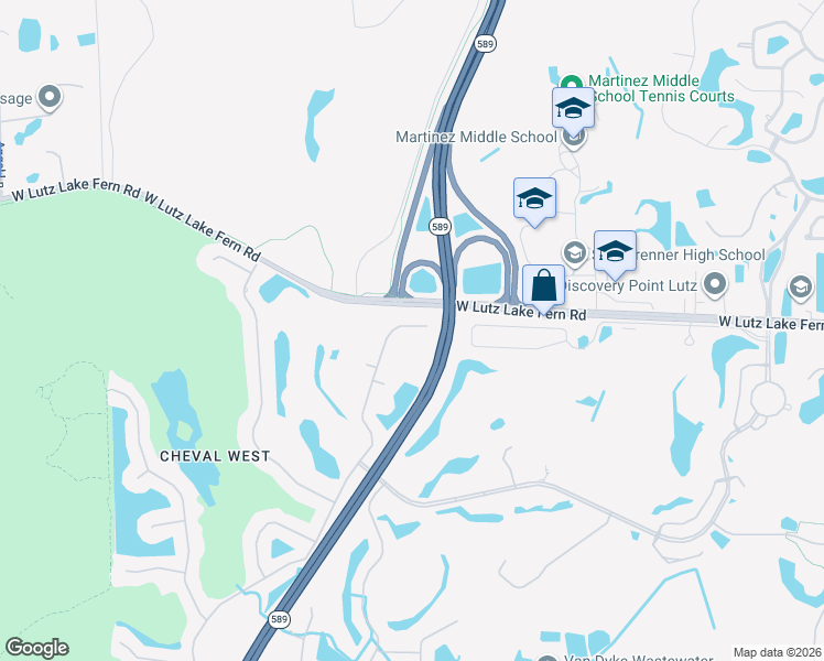 map of restaurants, bars, coffee shops, grocery stores, and more near 19135 Chemille Drive in Lutz