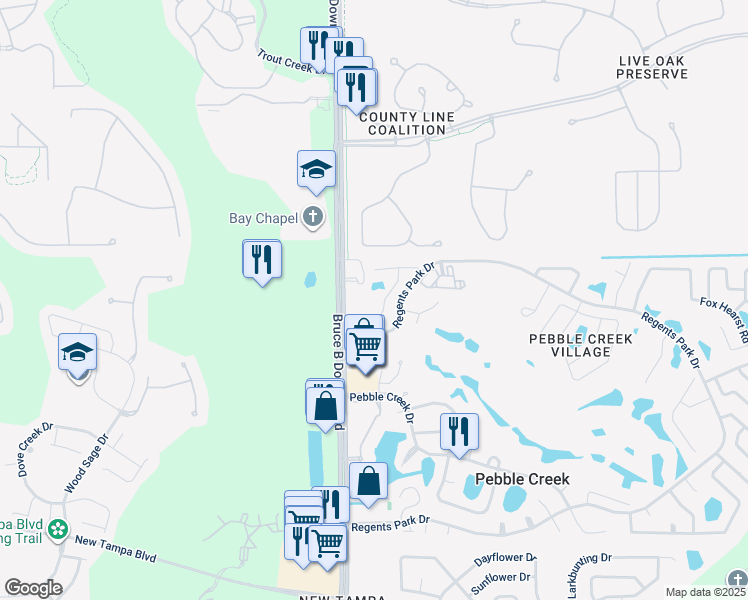 map of restaurants, bars, coffee shops, grocery stores, and more near 19015 Callaway Court in Tampa