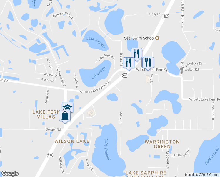 map of restaurants, bars, coffee shops, grocery stores, and more near Dale Mabry Highway in Lutz