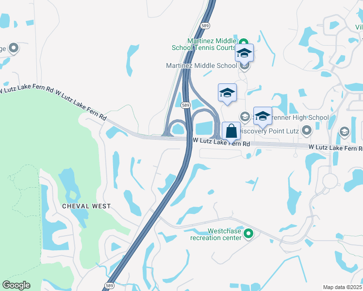 map of restaurants, bars, coffee shops, grocery stores, and more near 19144 Chemille Drive in Lutz