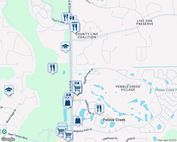 map of restaurants, bars, coffee shops, grocery stores, and more near 10401 Mulligan Court in Tampa