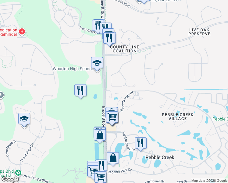 map of restaurants, bars, coffee shops, grocery stores, and more near 10425 Mulligan Court in Tampa